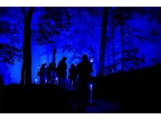 リズムスティックとともに夜の森へ。阿寒湖の森ナイトウォーク「カムイ ルミナ」を開催