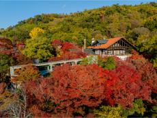 紅葉深まる京都・大山崎の美術館へ！広大な庭園の美しさとともに鑑賞する「アンドリュー・ワイエス展」