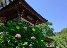 鎌倉の山で小さなお祭りに出逢う、小さな旅。