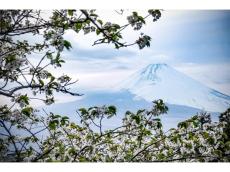 三島の老舗ホテルが提案する新たな“おもてなし”。「Fujisan Charm（富士山チャーム）」