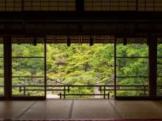 名勝「對龍山荘庭園」に続き、昨年重要文化財に指定された「對龍山荘」の一般公開が開始