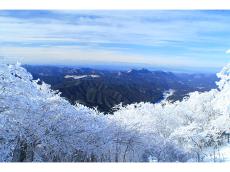 知れば知るほど奈良はおもしろい！ 今しか見られない氷のアート「霧氷」＆「氷瀑」を目に映そう