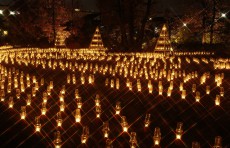 幾千のキャンドルきらめく京王フローラルガーデンで幻想的な聖夜を　