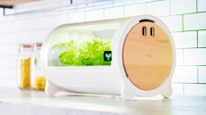 日本発のスマートフォン連動型のIoT水耕栽培機で、いつでも野菜がある生活を