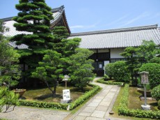 京都・沙羅双樹の寺「東林院」の「沙羅の花を愛でる会」