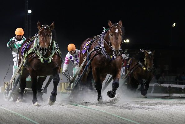 【PR】1トンの馬による大迫力レース！ばんえい競馬が面白いぞ！