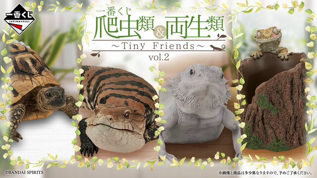 爬虫類&両生類一番くじ ラストワン賞 アオジタトカゲ べぇ リアルで可愛い「一番くじ 爬虫類&両生類」第2弾!ラストワン賞
