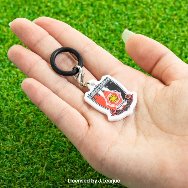 応援してるチームが欲しい！「Jリーグ」めじるしアクリルに「鹿島
