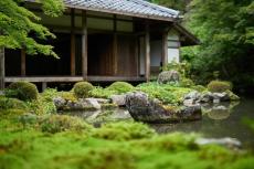 まるで名画のような趣！池泉回遊式庭園で癒された「蓮華寺」【そうだ 京都、行こう。】