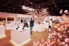 一足早く本物の桜をデジタル一眼カメラαで撮影できるイベント「桜 in Sony Store」を開催