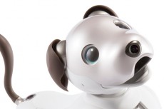ソニーの自律型エンタテインメントロボット“aibo”の生産出荷累計2万台を達成