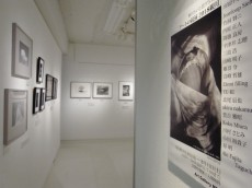 3つの賞が決定！飾りたいと思う写真展「アートの競演 2018観月」【Art Gallery M84】