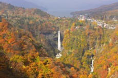 日光市の紅葉ピークを発表！今年はほぼ例年並みで見ごろが長め。竜頭の滝は連休明けから見ごろに