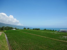 タレントのユージさんが先生に！？高知県田野町で移住体験キャンプツアーを開催