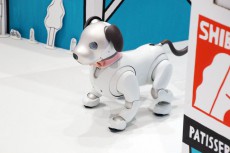 犬のおまわりさんと共に渋谷の街をパトロール！ソニーの体験型イベント「Shibuya Town with aibo」開催中