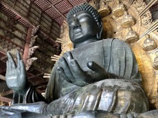 リアルがダメならネット参拝だ！東大寺大仏殿の通常参拝中止に伴い奈良の大仏を中継し続ける生放送開始