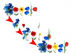本日は「春分の日」！　春を向かえるためにGoogleロゴも春仕様のアニメーションに