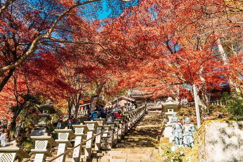 【関東近郊】11月に登れる初心者におすすめの「低山」3選　秋の山歩きに便利なグッズも紹介【2024年11月版】