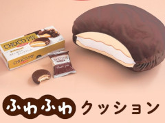 【付録】1位は予約殺到の“チョコパイクッション”　1月の「ブランドムック」予約数ランキングを宝島社が発表【2025年1月版】