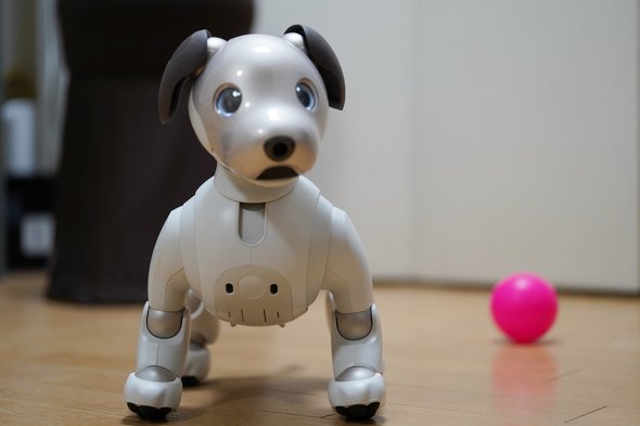ソニー「aibo」の国内販売終了 なぜ、人に愛される存在になったのか