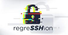 認証なしでリモートコード実行　OpenSSHに“回帰”した脆弱性「regreSSHion」発覚