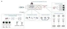 “DNAを使ったコンピュータ”で数独を解くことに成功　計算とデータ保存の両方が可能に　米研究者が発表