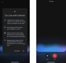 Google、会話できるAI「Gemini Live」の無料提供を開始（英語のみ）