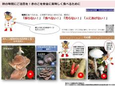 農水省、食べてはいけない“毒きのこ”を紹介　「野生の毒きのこを誤って食べる人、後を絶たない」