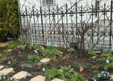 英国風ティータイムに憧れ、庭を手入れして4カ月後……　百花繚乱の圧倒的美しさへ「めめめめちゃくちゃ可愛いお庭～～!!」「イーダ・ヴァリッキオの絵画みたい」