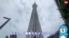 知ってた？　エレベーターの“高さ日本一＆低さ日本一”はどちらも同じ都道府県にある「一度でもいいから乗ってみたい！」