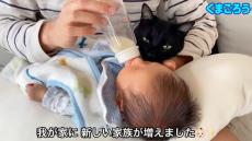 生まれたばかりの赤ちゃんから片時も離れない猫、心配そうな表情で……　お世話したくてたまらない姿に「母性本能が開花してる」