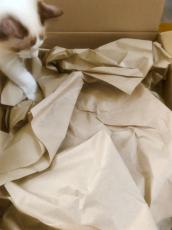 Amazonの箱に入ってる“あの紙”をリメークしたら……　猫大歓喜、絶対に予想できない完成品に「“そうはならんやろ”のミラクルレベルバージョン」