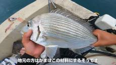 マグロ養殖いけすの“横”で釣りをしたら……　「天国やああああ」「チートってレベルじゃない……!!!」夢のような釣果に羨望の声