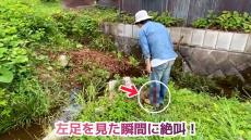 野山を散策中、パンツの中に違和感→ズボンをめくると……　身の毛がよだつ“流血沙汰”の大惨事に「怖っ」「草むらは危険」