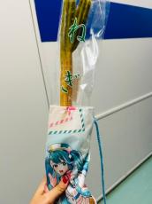 立派なネギだと思ったら……　初音ミクの公式イベントで販売されたチュロスが「めっちゃかわいい」「想像以上にネギ」