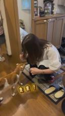 飼い主と3日ぶりに再会した猫、全力で抱っこをせがみ……　“うれしい”が伝わる驚きの動きに「泣けてきちゃう」「愛が止まらないね」