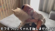 1歳赤ちゃんと子犬が出会ったら……　絵本のような優しい触れ合いに「可愛いの塊」「ずっとこの時間が続きますように」