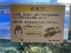 水族館「装置が故障しました」→しかし……　“そうはならんやろ”な苦肉の策に12万いいね　「嘘やろwww」