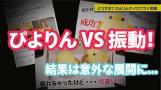 「ぴよりん」はなぜ崩れるのか、日立製作所がガチ検証　崩れやすい銘菓をきれいに持ち帰る6つの秘訣