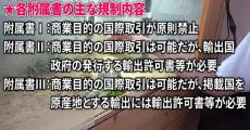 まさかの“絶滅危惧種”を飼育→4年後……　違反したら“罰金500万円”生物の貴重な記録に「めっちゃ勉強になった」「ほんとに凄い」