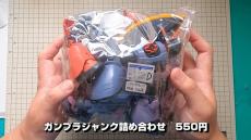 550円の“壊れたガンプラ詰め合わせ”を購入→ジャンク品を“大復活”させる職人技に脱帽　「ロマンを感じる」