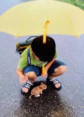 台風の雨の日に出会った子猫→息子と一緒に育ち7年後には……　共に過ごした日々の思い出に涙「種族を超えて、家族になった」「号泣しました」