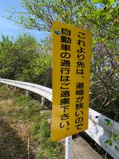 「ホンマええ加減にせえよ」　そんな気持ちが伝わってきそうな“圧つよ”道路看板　「お察し致します」「引き返せ…引き返せ…」