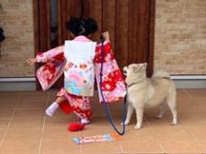 7歳娘と愛犬の七五三写真→3歳のときと比べてみると……　尊さしかないビフォーアフターに「可愛い素敵」「めっちゃ良い」