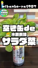 空き缶に“ダイソーで買った種”を植え、43日後……　驚きの結果に「やってみたい！」「子どもの食育に最適かも」