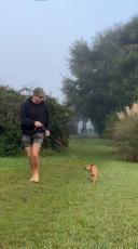 初めての海にびびりっぱなしの子犬、うきうきで遊ぶ先輩犬に誘われ……　愛らしい展開に「ずっと見ていられる」といいね200万超【海外】