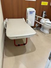 車いすユーザーが“外出時のトイレで困ったこと”に反響　バリアフリートイレの使用マナーに「有益な情報」「存じませんでした」