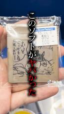 「まさかすぎる」　ハードオフで“落書きだらけ”の謎ゲーム購入→“衝撃の正体”に仰天　「懐かしすぎ」