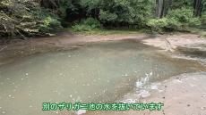 ザリガニが約3000匹いた池の水を、全部抜いてみたら……　思わず腰が抜ける興味深い結果に「本当にすごい」「見ていて爽快」