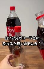 コーラグミの白い部分をコーラに漬けたら何色になる？　驚きの実験結果に「平和すぎてすき」「おいしそう」